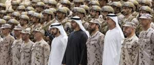 قوات الإمارات المسلحة.. 50 عامًا من التحديث وبناء القوة