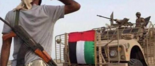 الإمارات في ذكرى تحرير المكلا&hellip; شراكة الحسم وبناء نموذج الأمن المستدام