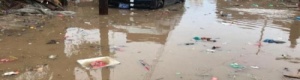 الانتقالي يكلف شركتي مقاولات لشفط المياه الراكدة وتنفيذ حملات رش لمكافحة البعوض بعدن