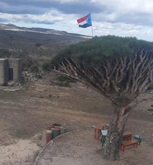 انضمام خيمة الرئيس للقوات المسلحة الجنوبية بسقطرى