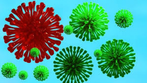 "كورونا" يوقع أربع ضحايا في وادي حضرموت وتريم تتصدر الوباء : 