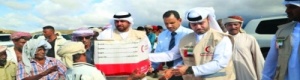 الامارات وسقطرى.. جهود مضنية لإنقاذ المدنيين في الارخبيل