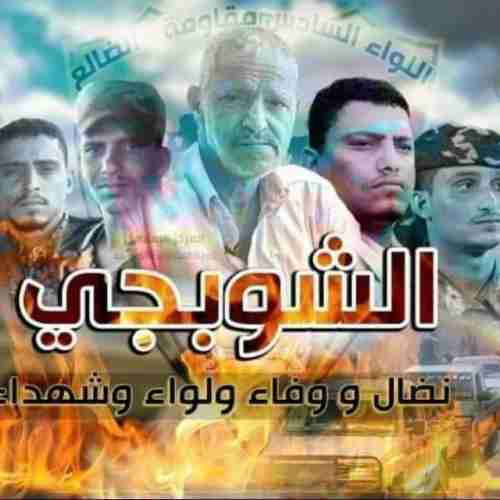 الكندي: أبواق الشرعية الإخوانية حاولت نسب انتصارات الجنوبيين بالضالع للجيش اليمني