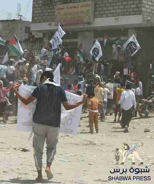 سياسي جنوبي: تنظيم القاعدة يقيم احتفال في مسقط رأس هادي بتكليف وحراسة نائبة الأحمر