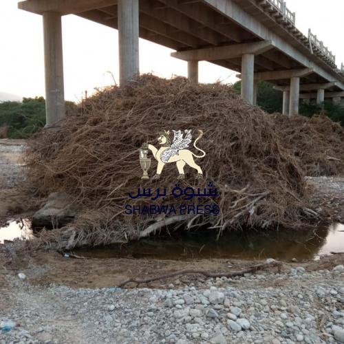 العوالق تهدد جسر وادي "ميفع حجر" بالأخطار والدمار 