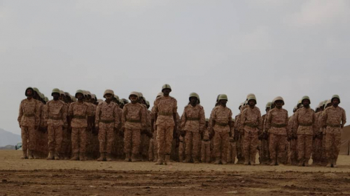 تخرج الدفعة 44 من قوات العمالقة الجنوبية 
