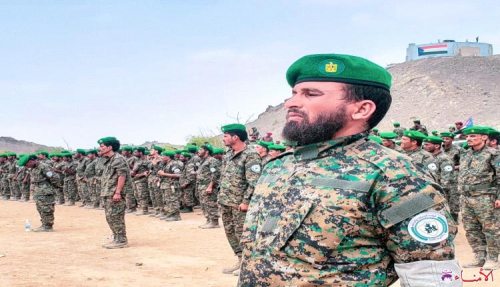 ملاحم الجنوب.. حرب القوات المسلحة ضد الإرهاب لا تزال مستمرة