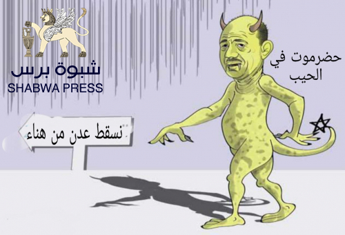 سياسي جنوبي: لا تقلقني باطنيةً رشادْ العليمي وما يحيكهُ ضدَ الجنوبِ