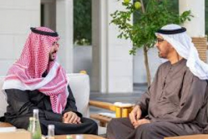 بن زايد يستقبل وزير الدفاع السعودي ويبحثان التطورات الاقليمية