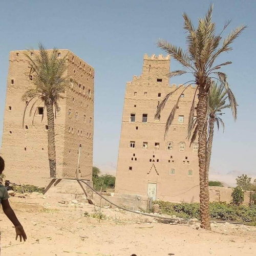 المسئولين من أبناء شبوة يتذكّرون حقوق محافظتهم عند خسارتهم للوظيفة