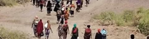 شبوة وازمة النازحين الأفارقة 