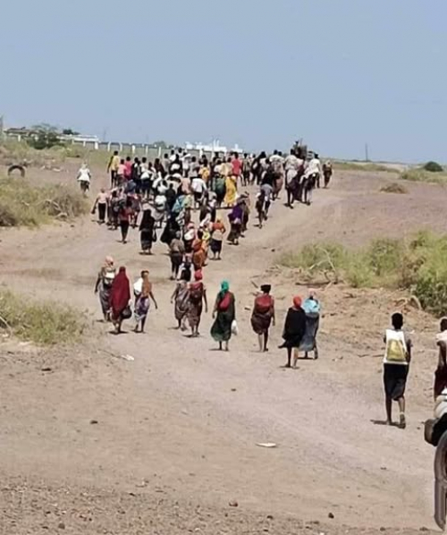 شبوة وازمة النازحين الأفارقة 