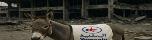 العليمي: سلمنا الحوثي الطائرة الرابعة بعد تهديده بقصف مطار عدن