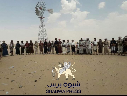 تعزيزات كبيرة تصل لقوات المقاومة الجنوبية في منطقة المروحة بصحراء شبوه