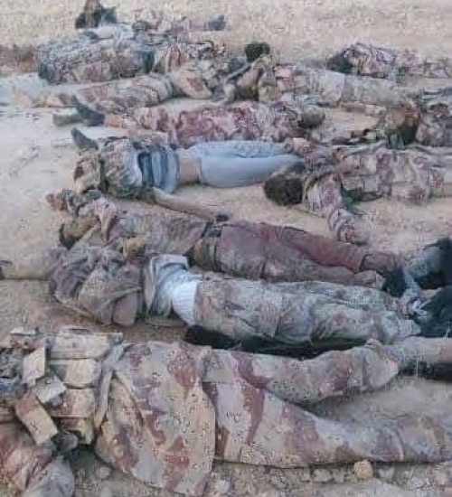 باحث يدعو إلى قيام "الصليب الأحمر الدولي" بدفن قتلى الشرعية بأبين حتى لا يتاجر بهم سياسيا مستقبلا 