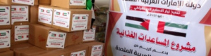الإمارات ترسل 960 طنا من المواد الغذائية العاجلة لنحو 20 ألف أسرة فلسطينية