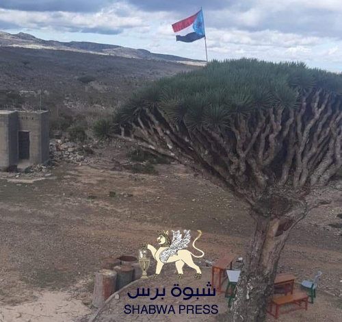 عام على التحرير: دحر الإخوان من سقطرى وعودتها إلى حضن الجنوب 