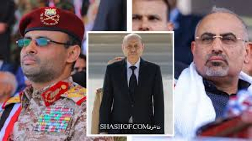 دعوة الموفد الأممي للحوار بين المشاط والعليمي شطب للقضية الجنوبية ودفنها