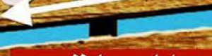 أكاديمي يدعوا إلى فصل الدين عن الدولة  