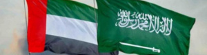 من المستفيد من الحملات الاعلامية ضد الامارات والسعودية؟