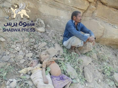  محلل سياسي في قناة "سكاي نيوز" يتحدث عن إعادة الانتشار.. وإستراتيجية التحالف في اليمن