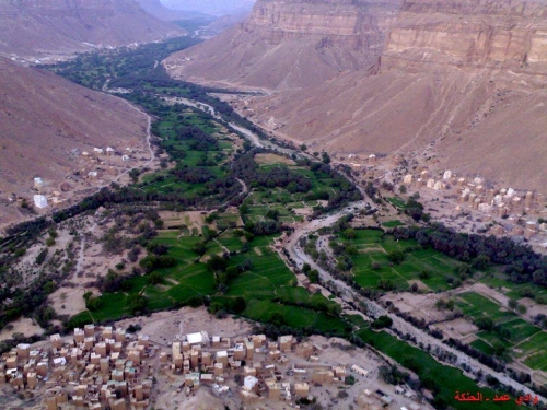 أمن حضرموت يلقي القبض على قاتلان يمنيان نفذا جريمة قتل في وادي عمد 