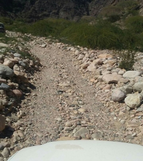 معاناه الاهالي مع الطرق الوعرة بمنطقة رفض في صعيد شبوة 