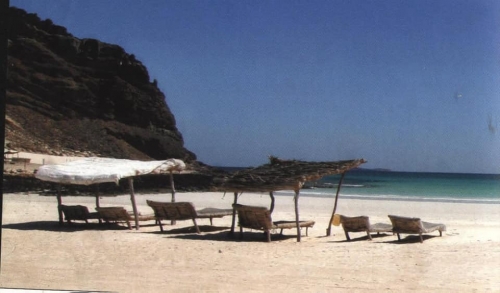 محافظ شبوة ينتهك الدستور وقانون الاستثمار ويقتحم مشروع قنأ السياحي بحصن الغراب.. 