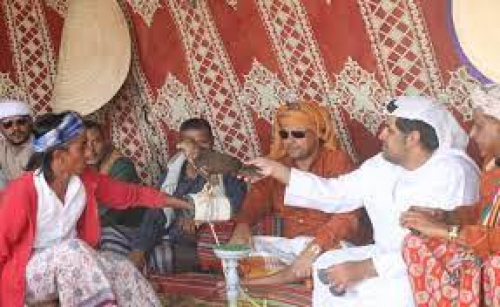 مهرجان الشيخ زايد يتلألأ على أرض سقطرى