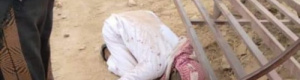 مقتل مواطن في مديرية شبام وإصابة آخر