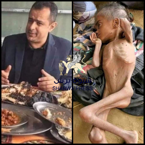 القضاة الجنوبي يطالب بإحالة اللص معين للنائب العام للتحقيق