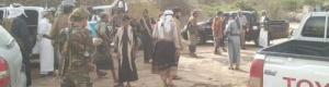 انتقالي شبوة ينجح في وقف القتال القبلي في صعيد شبوة