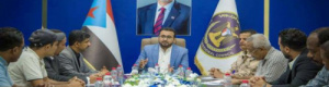العولقي يلتقي مديري إدارات الإعلام والثقافة في الهيئات التنفيذية بمحافظات الجنوب
