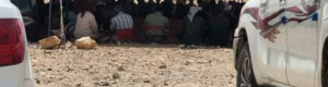 تفاصيل اجتماع قبائل سيبان لطرد مسلحي "بن حبريش" من أرض العصارنة (بيان)