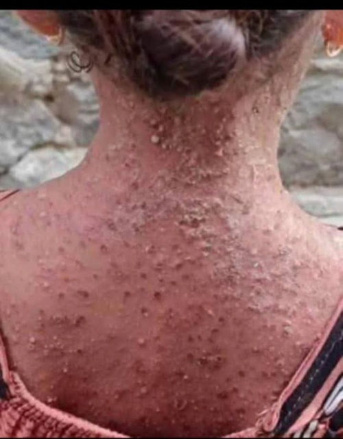 قطع الماء والكهرباء والرواتب عن سكان عدن يهدد حياتهم بالفناء (تقرير)