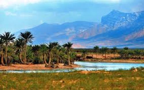 سهول دكسم..  في الجزيرة العذراء سقطرى