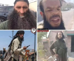 التحريض الطائفي يفتح الباب أمام تيار الإسلام السياسي