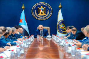 الرئيس الزبيدي يشكل لجان رقابة على أداء الهيئات المحلية