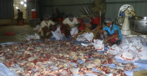 بدعم إماراتي..هيئة الهلال الأحمر توزع اضاحي العيد على 300 أسرة بالساحل الغربي