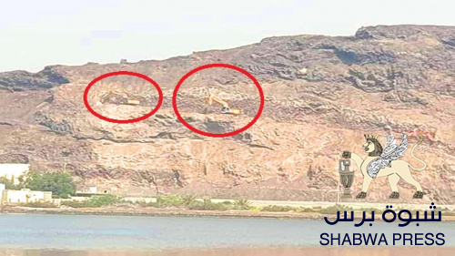 الجنوب وطيور القمامة .. عمليات البسط والبلطجة لا يقوم بها إلا حقير وضعيف نفس وصغير