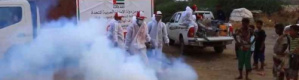 بحملات وقائية.. الهلال الإماراتي يكافح الحميات في المخا