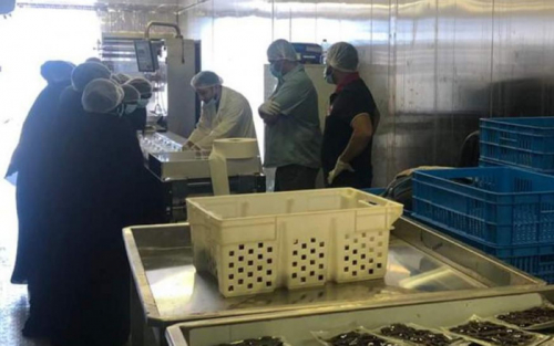 خليفة الإنسانية تتسلم التمور من مزارعي سقطرى لتسويقها