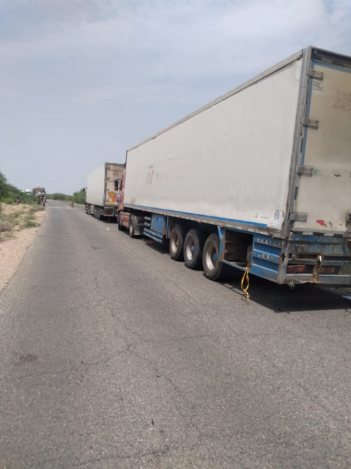 استنزاف الثروات.. الشرعية تنعم بتصدير الأسماك وتكوي الجنوب بالأسعار