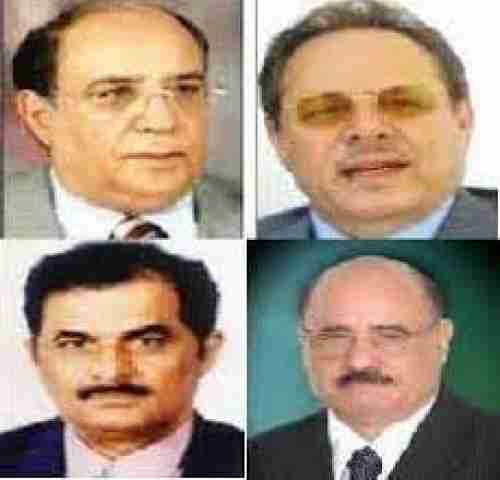 ديناصورات حكم الماضي في الجنوب...كيف اجتمعت آرائهم في ليلة واحدة..