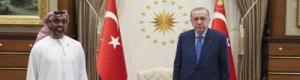 الرئيس التركي يستقبل وفدا إماراتيا برئاسة طحنون.. وقرقاش يصفه بالإيجابي