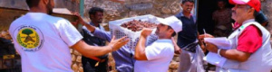 خليفة الانسانية تواصل تسلم المحاصيل الزراعية من مزارعي سقطرى لتسويقها