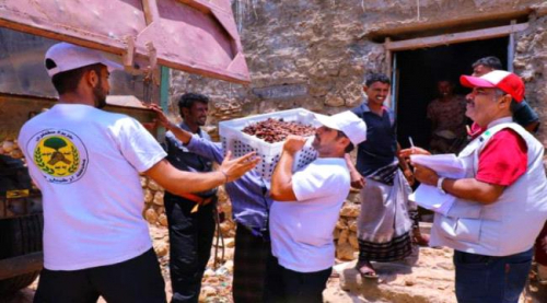 خليفة الانسانية تواصل تسلم المحاصيل الزراعية من مزارعي سقطرى لتسويقها