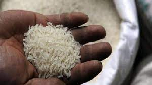خطوة تهدد بزيادة أزمة الغذاء العالمية.. الهند تتجه لتقييد صادراتها من الأرز