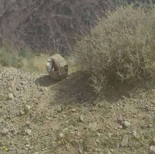 محاولة استهداف محافظ شبوة بعبوة ناسفة وضعت في طريق نصاب