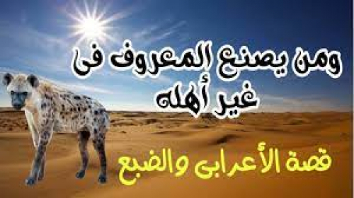 خسارة معروف الجنوب مع اليمنيين.. جزاءه ما لاقى مجير أم عامر  